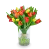 Kytice  tulipánů